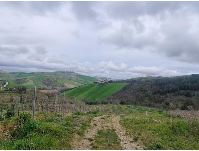 Anteprima foto 3 - Terreno Edificabile Commerciale in Vendita a Cossignano (Ascoli Piceno)