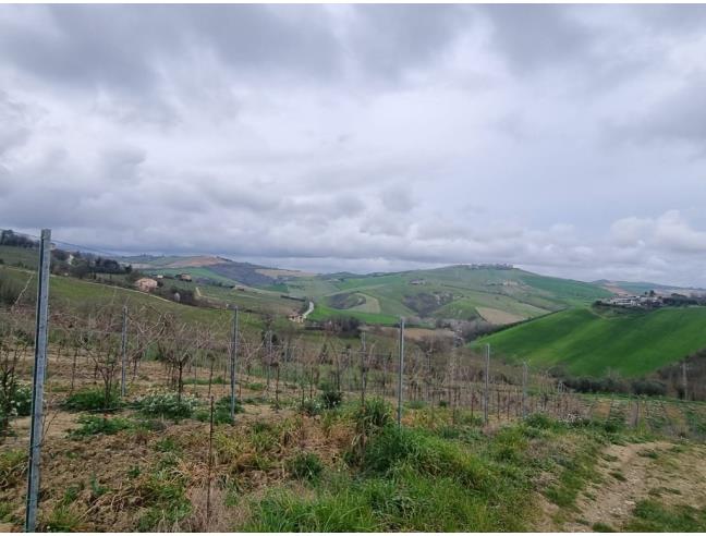 Anteprima foto 5 - Terreno Edificabile Commerciale in Vendita a Cossignano (Ascoli Piceno)