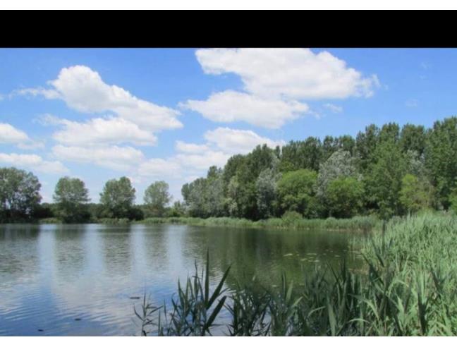 Anteprima foto 8 - Terreno Edificabile Commerciale in Vendita a Mantova - Cittadella