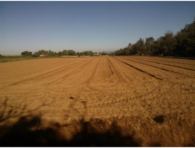 Anteprima foto 3 - Terreno Edificabile Commerciale in Vendita a Nettuno - Sandalo