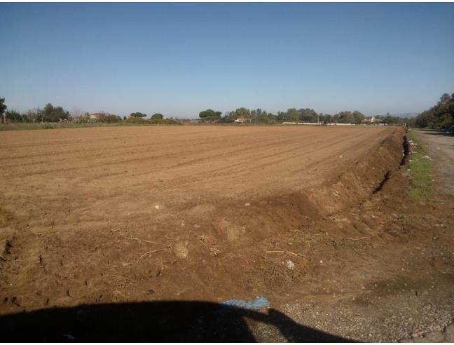 Anteprima foto 4 - Terreno Edificabile Commerciale in Vendita a Nettuno - Sandalo