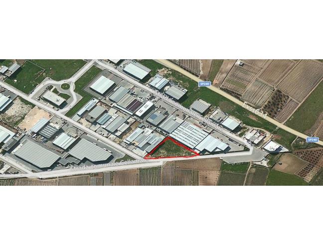 Anteprima foto 6 - Terreno Edificabile Commerciale in Vendita a Noicàttaro (Bari)