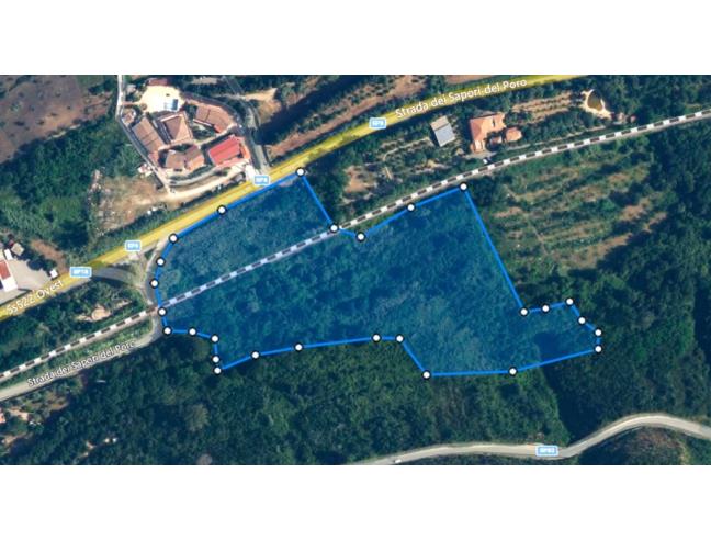 Anteprima foto 4 - Terreno Edificabile Commerciale in Vendita a Parghelia (Vibo Valentia)