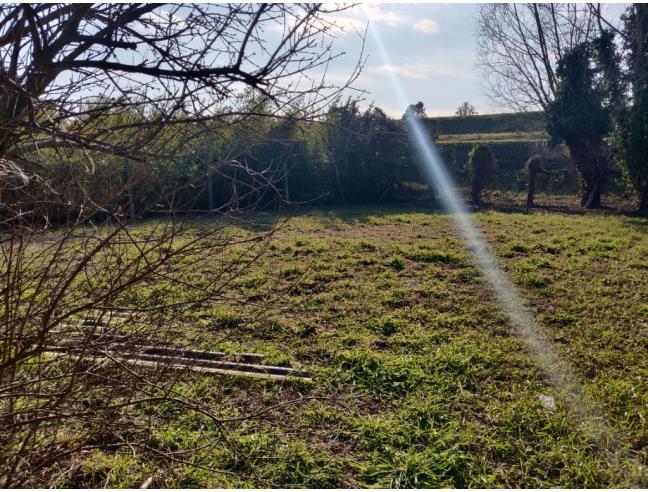 Anteprima foto 2 - Terreno Edificabile Commerciale in Vendita a Porto Viro - Contarina
