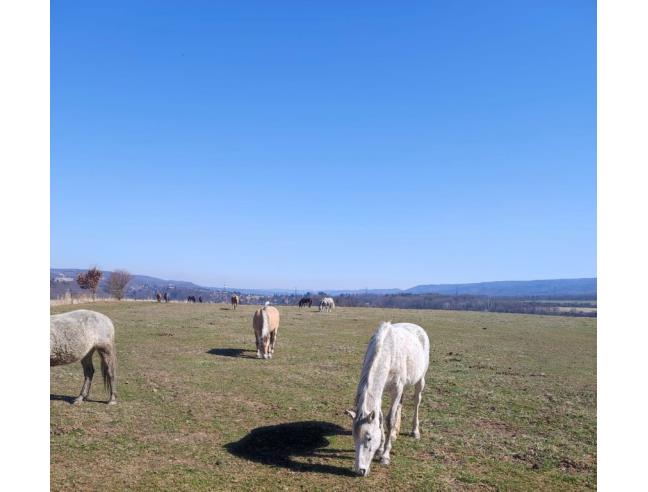 Anteprima foto 5 - Terreno Edificabile Commerciale in Vendita a Sesto San Giovanni (Milano)