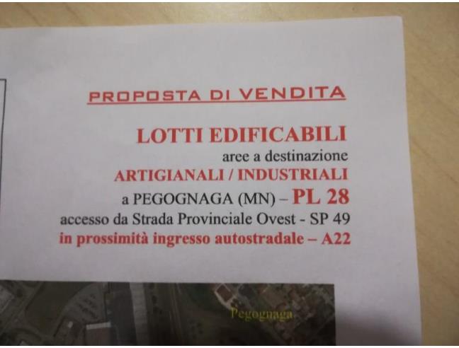 Anteprima foto 2 - Terreno Edificabile Industriale in Vendita a Pegognaga (Mantova)