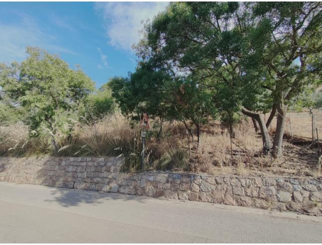 Anteprima foto 5 - Terreno Edificabile Industriale in Vendita a Pollina (Palermo)