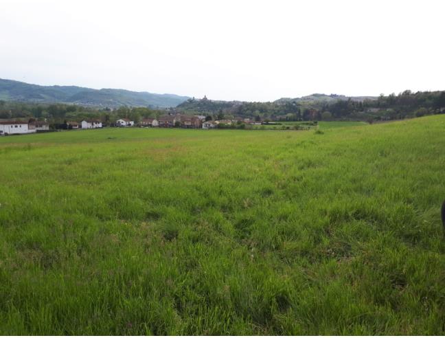 Anteprima foto 3 - Terreno Edificabile Residenziale in Vendita a Acqui Terme (Alessandria)