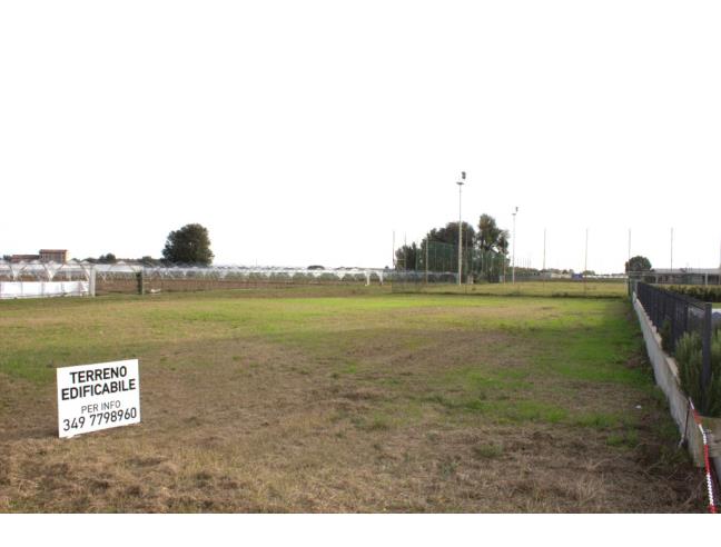 Anteprima foto 3 - Terreno Edificabile Residenziale in Vendita a Albaredo d'Adige - Coriano