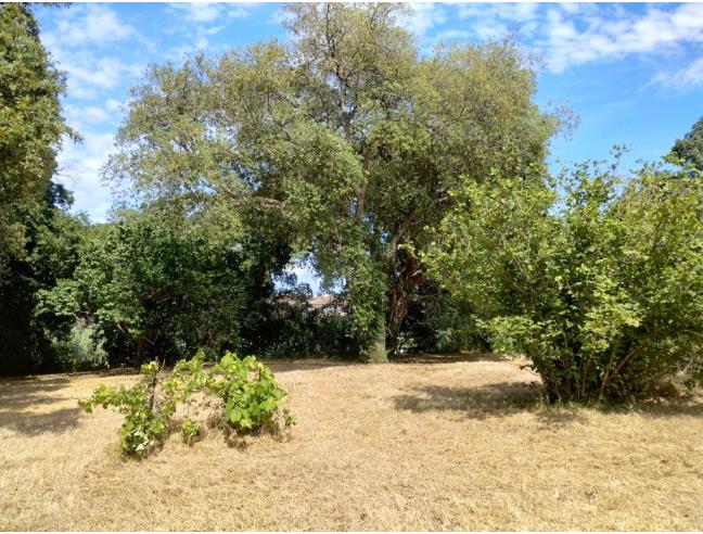 Anteprima foto 5 - Terreno Edificabile Residenziale in Vendita a Anzio (Roma)