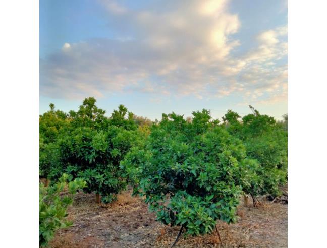 Anteprima foto 2 - Terreno Edificabile Residenziale in Vendita a Augusta (Siracusa)