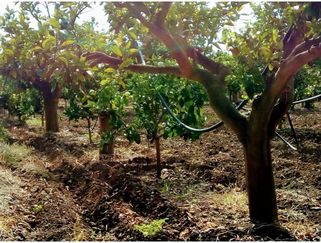 Anteprima foto 4 - Terreno Edificabile Residenziale in Vendita a Augusta (Siracusa)
