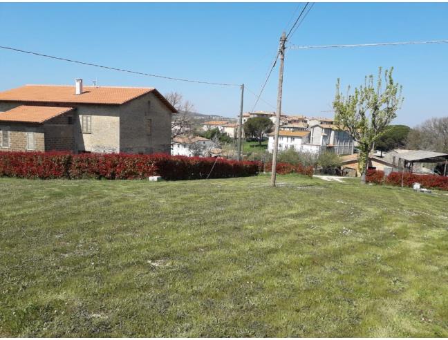 Anteprima foto 6 - Terreno Edificabile Residenziale in Vendita a Avigliano Umbro (Terni)
