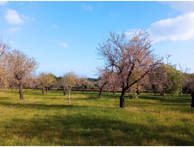 Anteprima foto 2 - Terreno Edificabile Residenziale in Vendita a Avola - Lido Di Avola