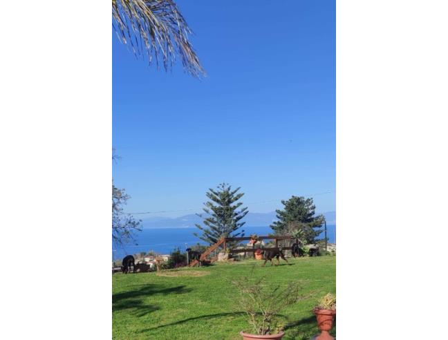 Anteprima foto 3 - Terreno Edificabile Residenziale in Vendita a Briatico - San Leo