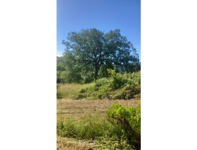 Anteprima foto 4 - Terreno Edificabile Residenziale in Vendita a Camerota - Licusati