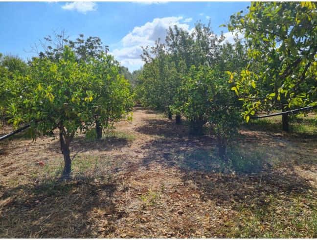 Anteprima foto 2 - Terreno Edificabile Residenziale in Vendita a Canicattini Bagni (Siracusa)