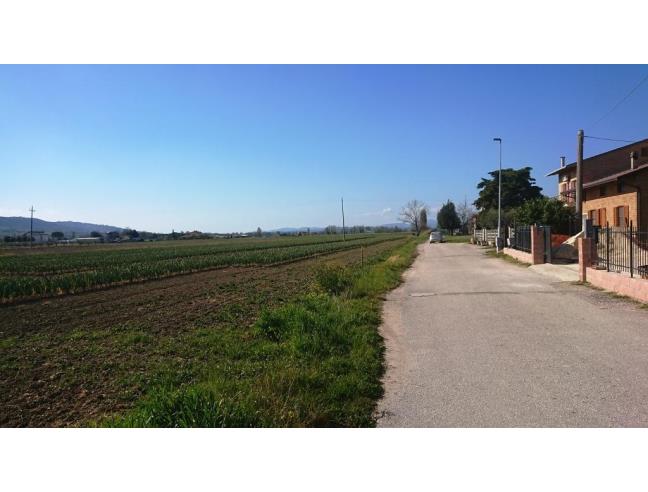Anteprima foto 3 - Terreno Edificabile Residenziale in Vendita a Cannara (Perugia)