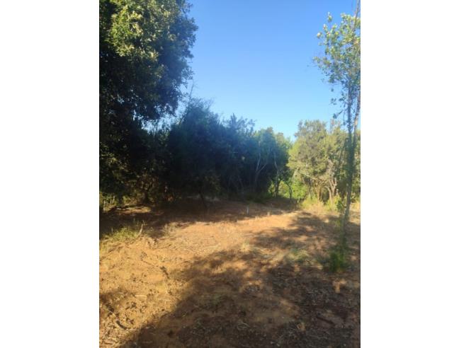Anteprima foto 6 - Terreno Edificabile Residenziale in Vendita a Capoliveri - Lido Di Capoliveri