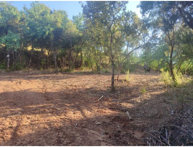 Anteprima foto 8 - Terreno Edificabile Residenziale in Vendita a Capoliveri - Lido Di Capoliveri