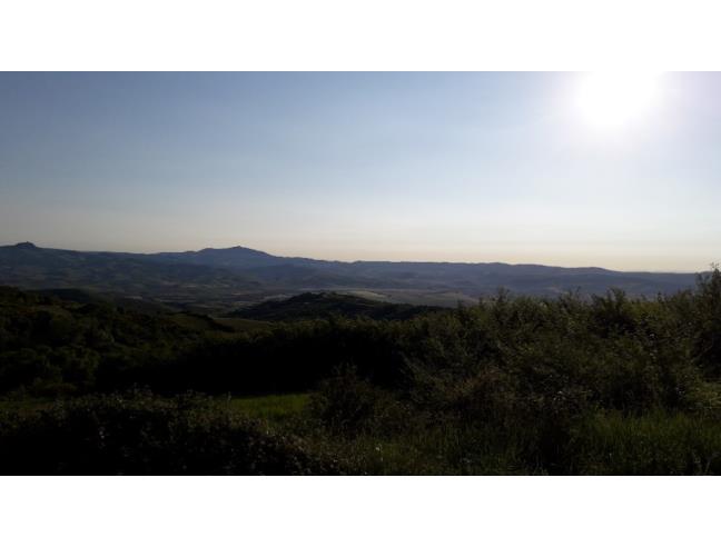 Anteprima foto 2 - Terreno Edificabile Residenziale in Vendita a Castell'Azzara (Grosseto)