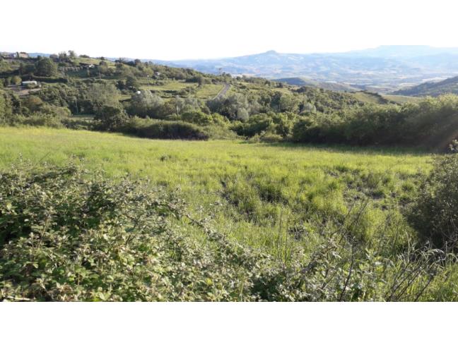 Anteprima foto 6 - Terreno Edificabile Residenziale in Vendita a Castell'Azzara (Grosseto)