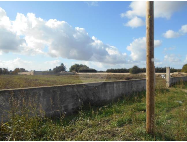 Anteprima foto 5 - Terreno Edificabile Residenziale in Vendita a Castelvetrano (Trapani)