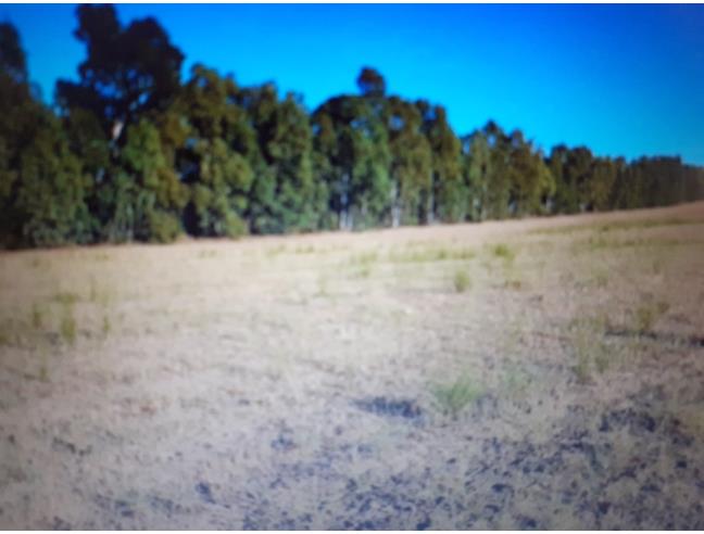 Anteprima foto 3 - Terreno Edificabile Residenziale in Vendita a Castiadas (Sud Sardegna)