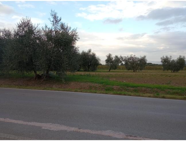 Anteprima foto 1 - Terreno Edificabile Residenziale in Vendita a Castiglione del Lago (Perugia)