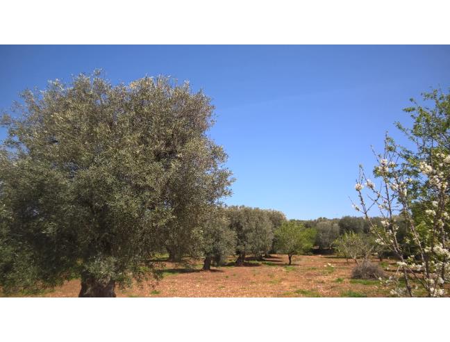 Anteprima foto 4 - Terreno Edificabile Residenziale in Vendita a Ceglie Messapica (Brindisi)