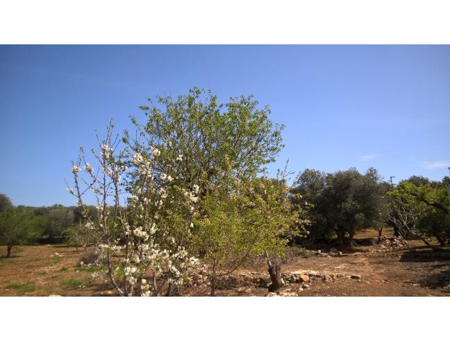 Anteprima foto 5 - Terreno Edificabile Residenziale in Vendita a Ceglie Messapica (Brindisi)