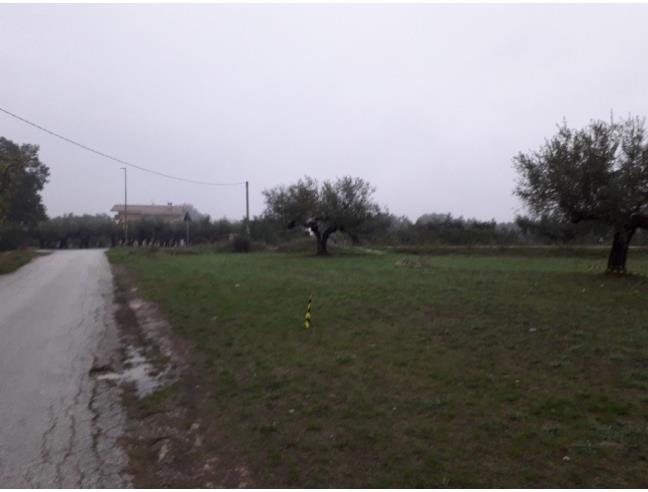 Anteprima foto 2 - Terreno Edificabile Residenziale in Vendita a Cepagatti (Pescara)