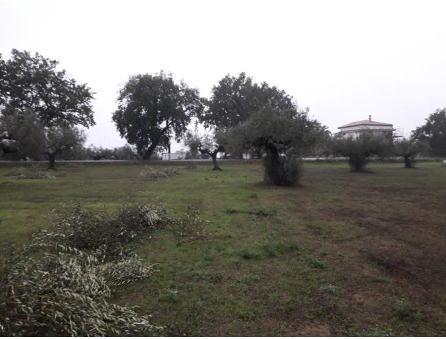 Anteprima foto 4 - Terreno Edificabile Residenziale in Vendita a Cepagatti (Pescara)