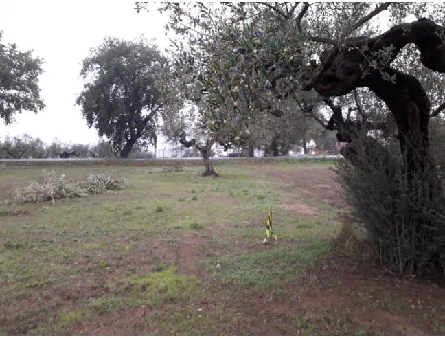 Anteprima foto 5 - Terreno Edificabile Residenziale in Vendita a Cepagatti (Pescara)