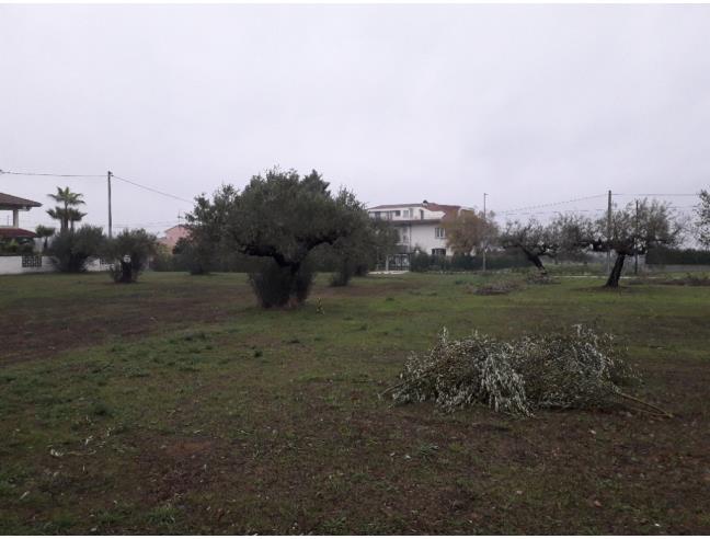 Anteprima foto 6 - Terreno Edificabile Residenziale in Vendita a Cepagatti (Pescara)