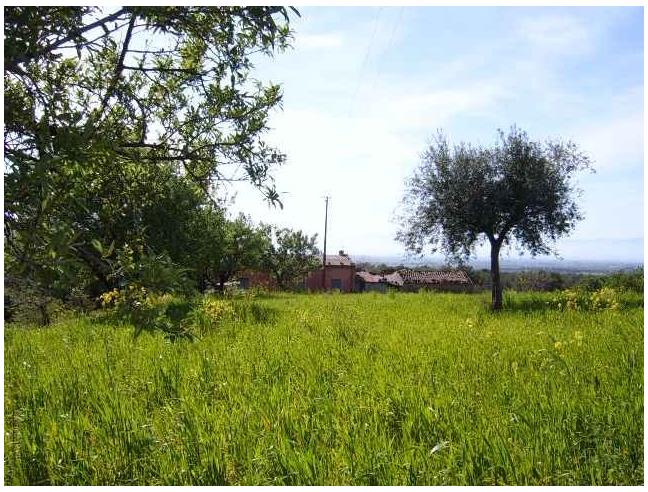 Anteprima foto 6 - Terreno Edificabile Residenziale in Vendita a Cerchiara di Calabria (Cosenza)
