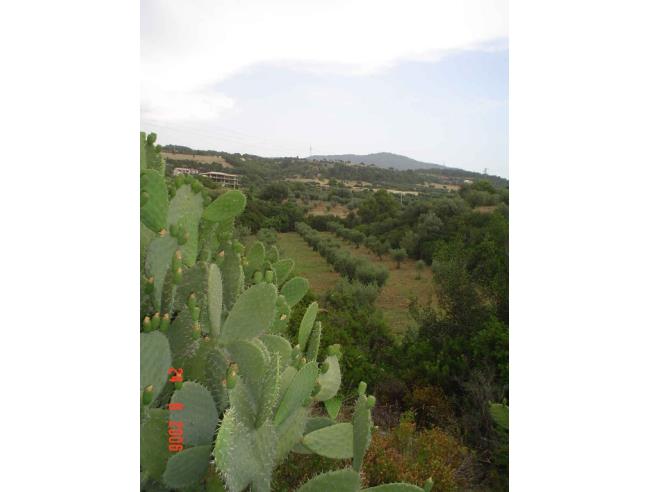 Anteprima foto 7 - Terreno Edificabile Residenziale in Vendita a Cerchiara di Calabria (Cosenza)