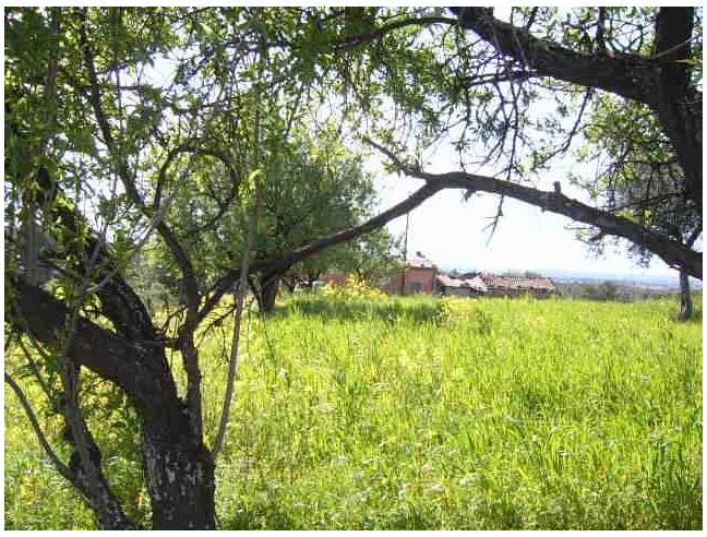 Anteprima foto 8 - Terreno Edificabile Residenziale in Vendita a Cerchiara di Calabria (Cosenza)