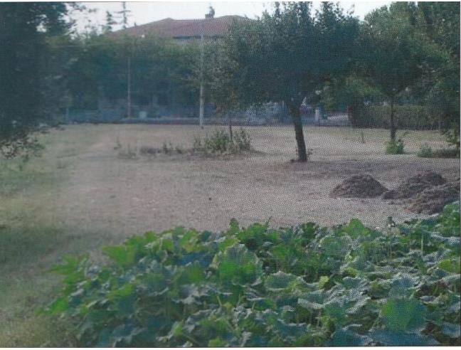 Anteprima foto 1 - Terreno Edificabile Residenziale in Vendita a Cingoli - Grottaccia