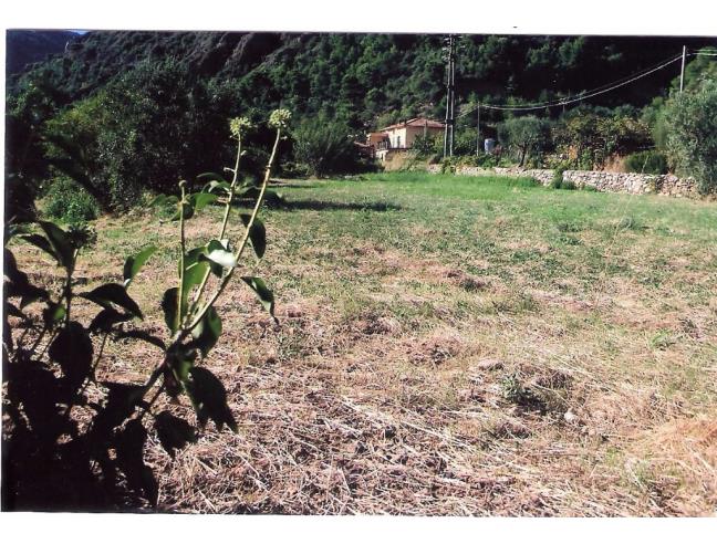 Anteprima foto 2 - Terreno Edificabile Residenziale in Vendita a Cisano sul Neva (Savona)