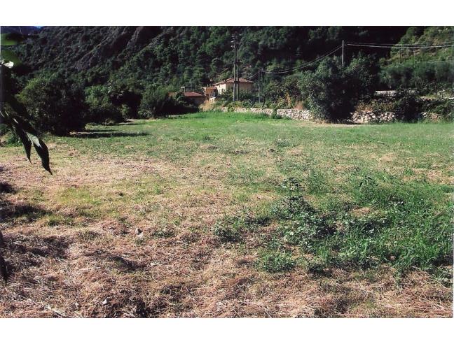 Anteprima foto 3 - Terreno Edificabile Residenziale in Vendita a Cisano sul Neva (Savona)