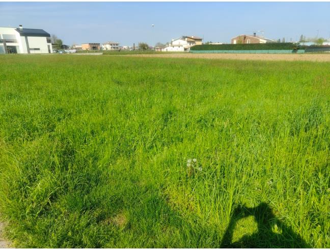 Anteprima foto 3 - Terreno Edificabile Residenziale in Vendita a Cittadella - Borgo Treviso