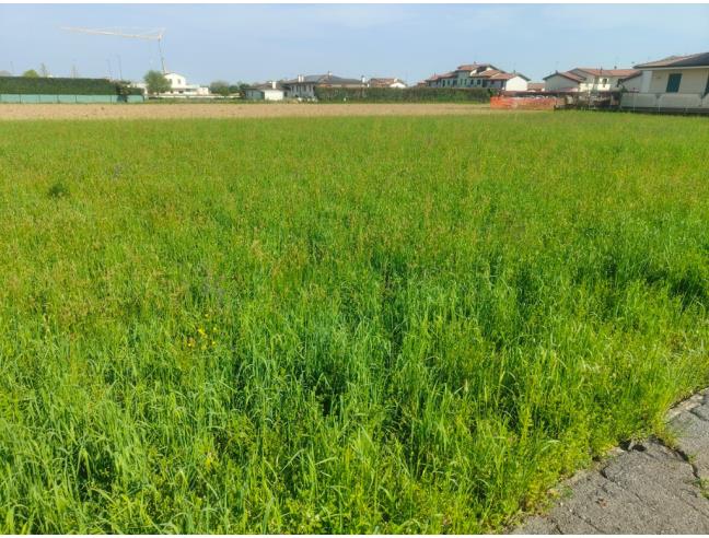 Anteprima foto 6 - Terreno Edificabile Residenziale in Vendita a Cittadella - Borgo Treviso