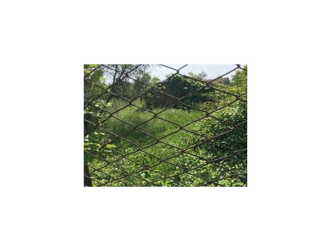 Anteprima foto 2 - Terreno Edificabile Residenziale in Vendita a Corchiano (Viterbo)