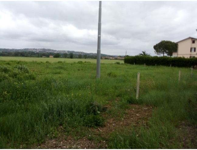 Anteprima foto 3 - Terreno Edificabile Residenziale in Vendita a Corridonia - San Claudio