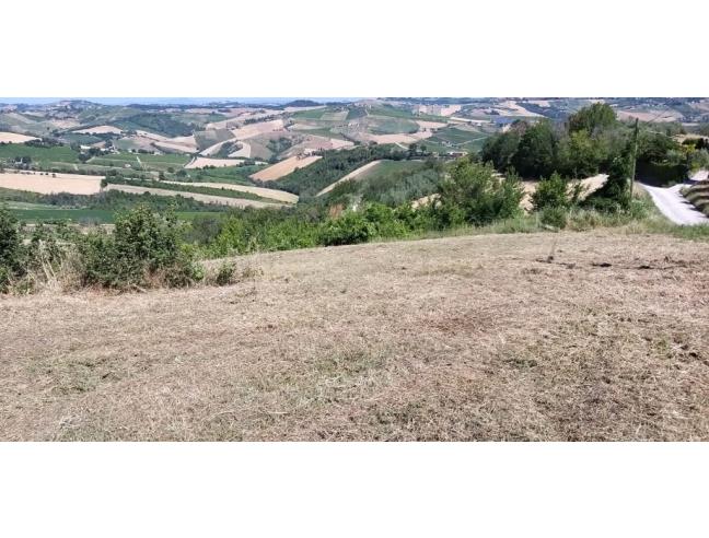 Anteprima foto 1 - Terreno Edificabile Residenziale in Vendita a Cossignano (Ascoli Piceno)