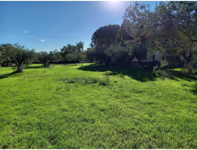 Anteprima foto 3 - Terreno Edificabile Residenziale in Vendita a Cugnoli (Pescara)