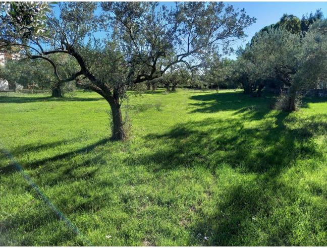 Anteprima foto 4 - Terreno Edificabile Residenziale in Vendita a Cugnoli (Pescara)