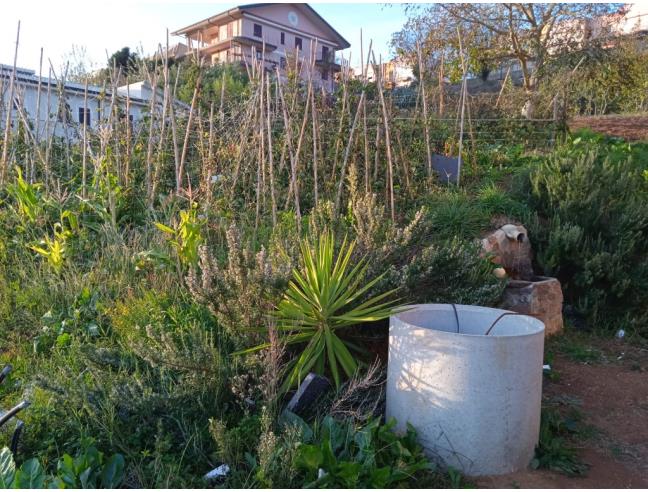 Anteprima foto 3 - Terreno Edificabile Residenziale in Vendita a Filadelfia (Vibo Valentia)