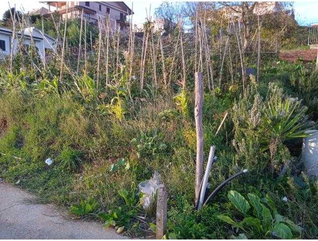 Anteprima foto 4 - Terreno Edificabile Residenziale in Vendita a Filadelfia (Vibo Valentia)